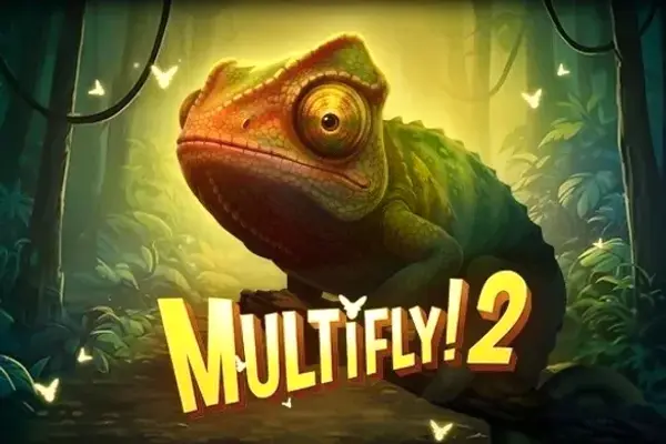 MultiFly 2